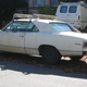Illustration for article titled 1967 Chevrolet Chevelle Malibu, Plus Bonus Evil Chevy Poll